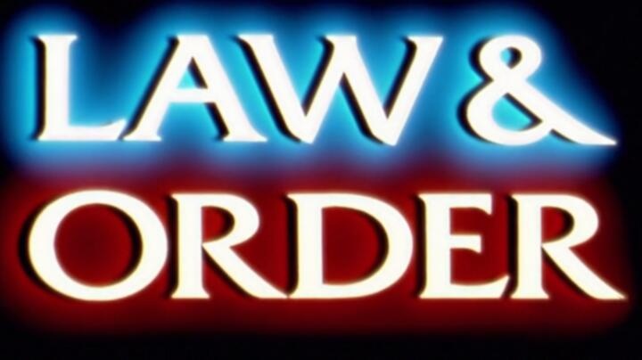 Law And Order SVU S11E24 WEB x264 TORRENTGALAXY