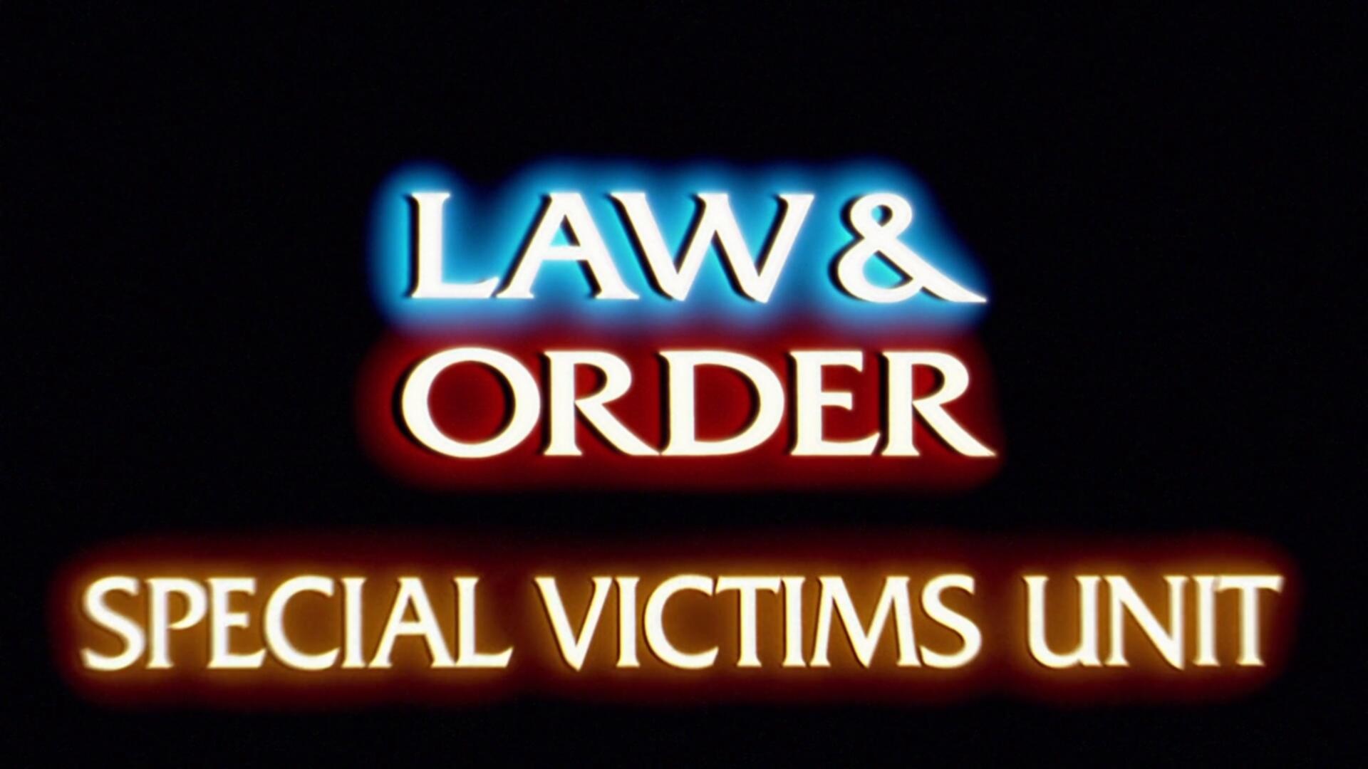 Law And Order SVU S11E23 1080p WEB H264 SKYFiRE TGx