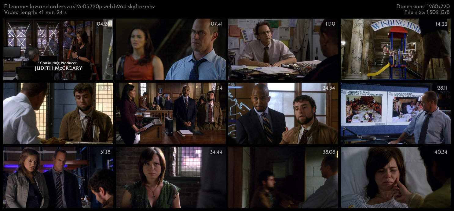 Law And Order SVU S12E05 720p WEB H264 SKYFiRE TGx