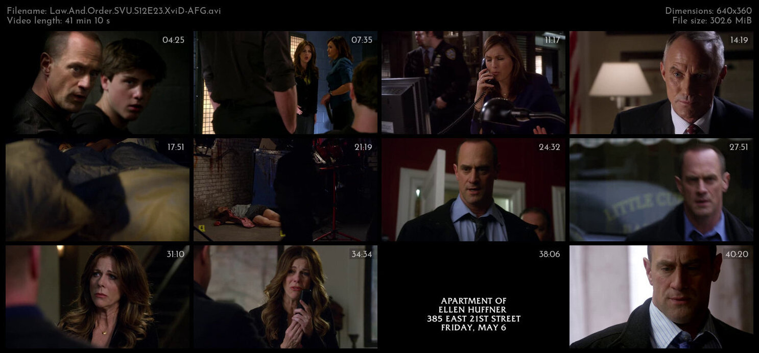 Law And Order SVU S12E23 XviD AFG TGx