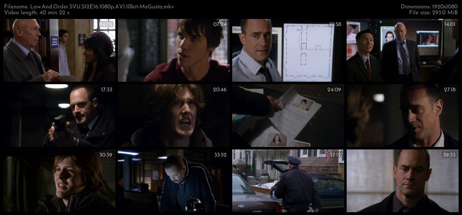 Law And Order SVU S12E16 1080p AV1 10bit MeGusta TGx