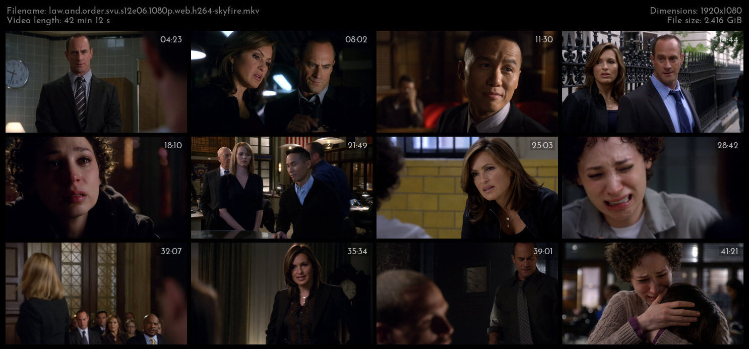 Law And Order SVU S12E06 1080p WEB H264 SKYFiRE TGx