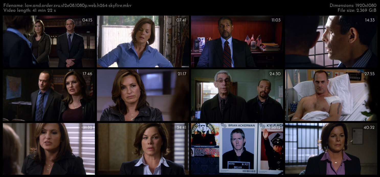 Law And Order SVU S12E08 1080p WEB H264 SKYFiRE TGx