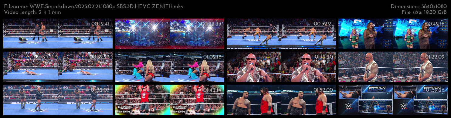 WWE Smackdown 2025 02 21 1080p SBS 3D HEVC ZENITH TGx