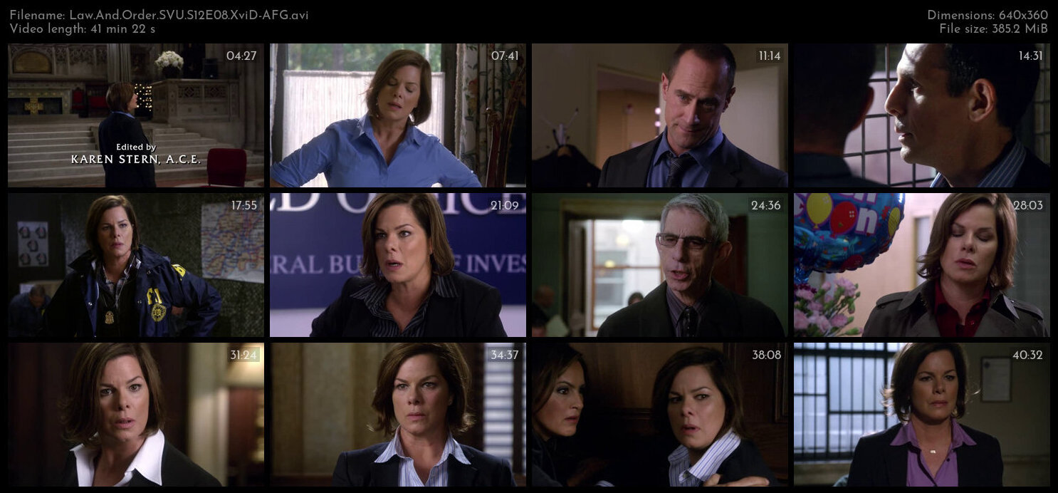 Law And Order SVU S12E08 XviD AFG TGx