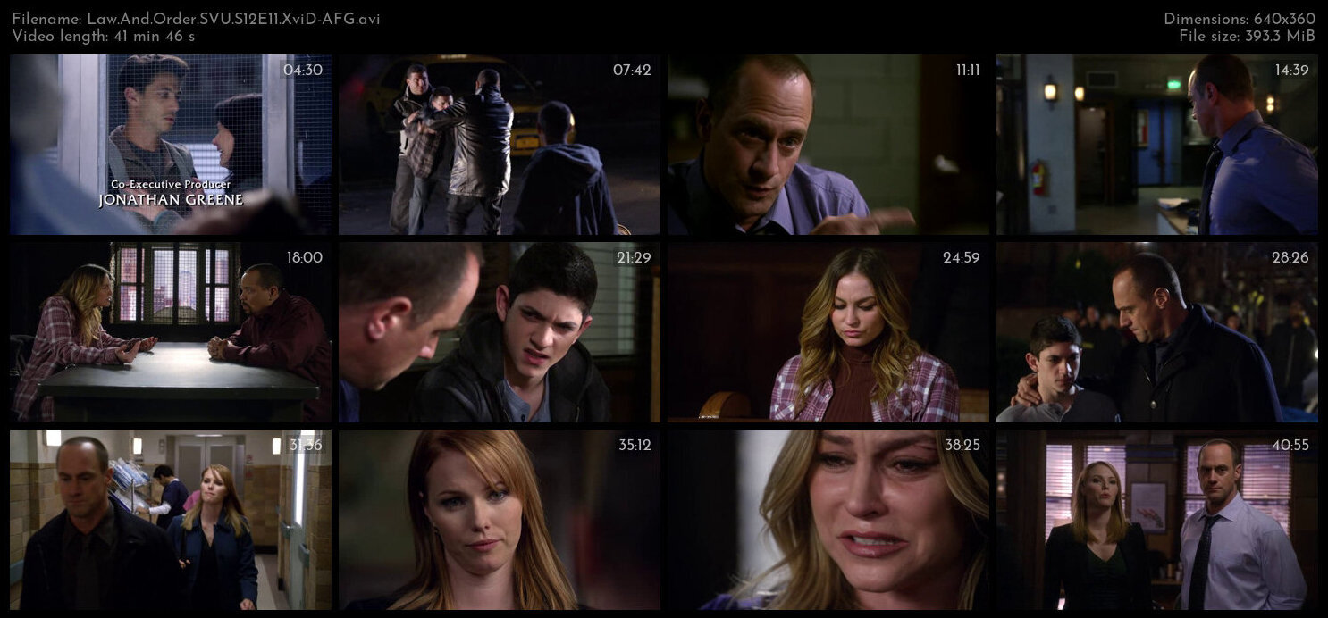 Law And Order SVU S12E11 XviD AFG TGx