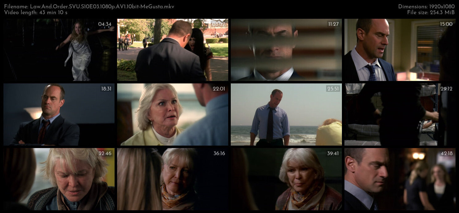 Law And Order SVU S10E03 1080p AV1 10bit MeGusta TGx