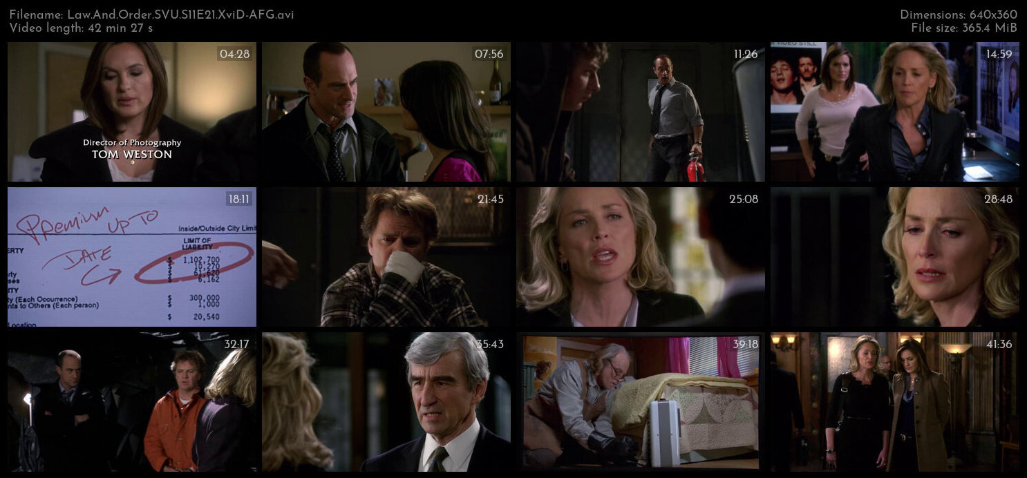 Law And Order SVU S11E21 XviD AFG TGx