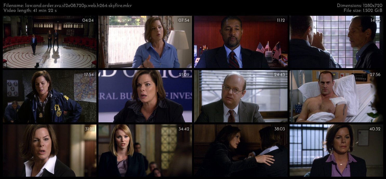 Law And Order SVU S12E08 720p WEB H264 SKYFiRE TGx