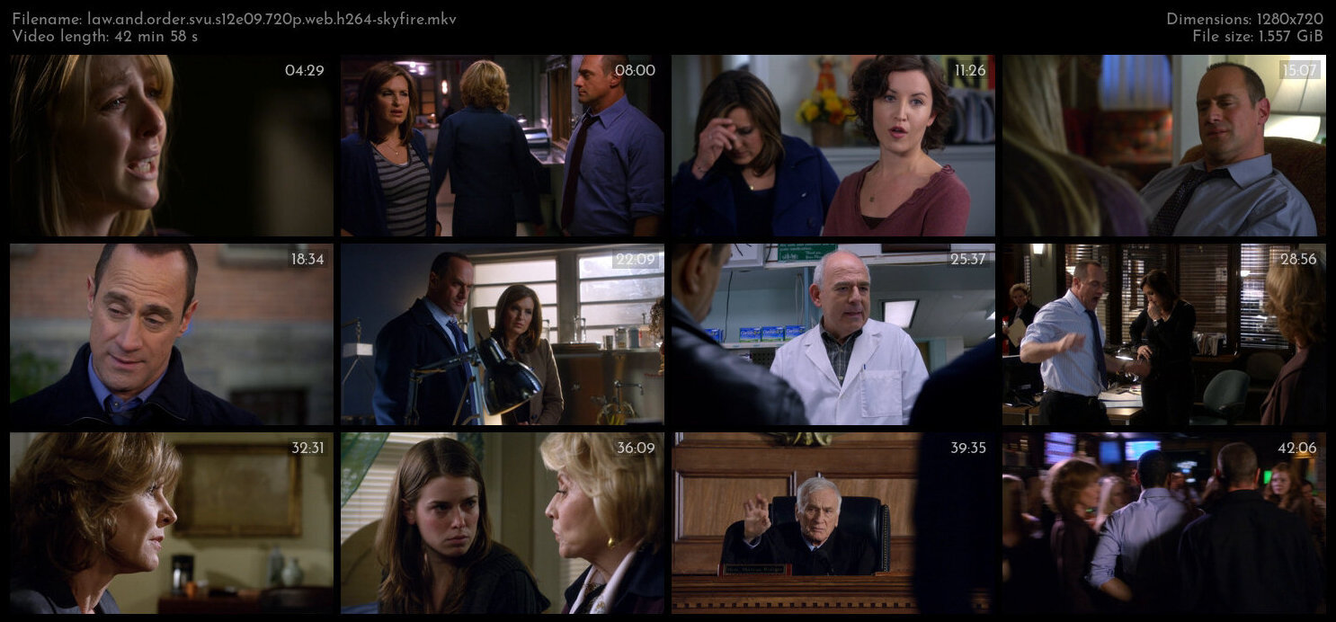 Law And Order SVU S12E09 720p WEB H264 SKYFiRE TGx