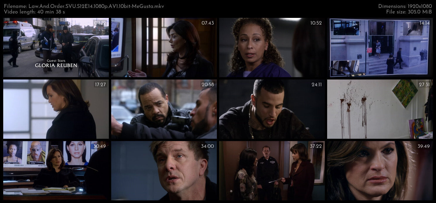 Law And Order SVU S12E14 1080p AV1 10bit MeGusta TGx