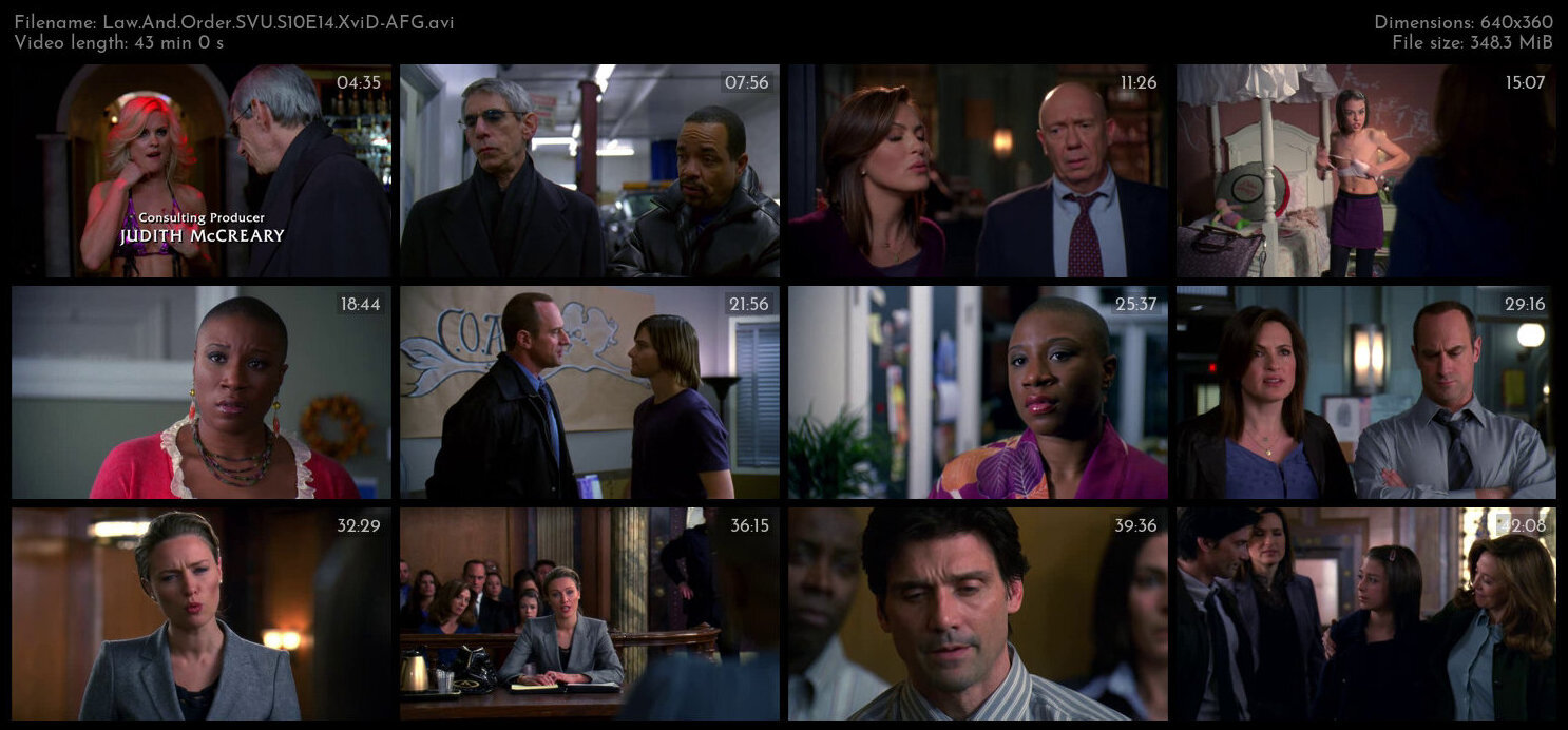 Law And Order SVU S10E14 XviD AFG TGx