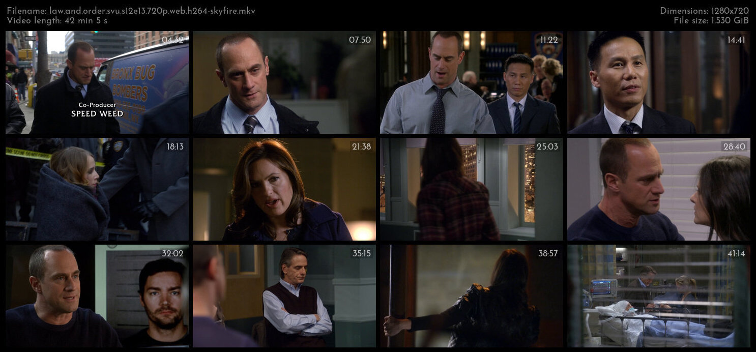 Law And Order SVU S12E13 720p WEB H264 SKYFiRE TGx