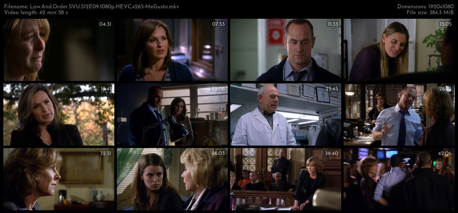 Law And Order SVU S12E09 1080p HEVC x265 MeGusta TGx