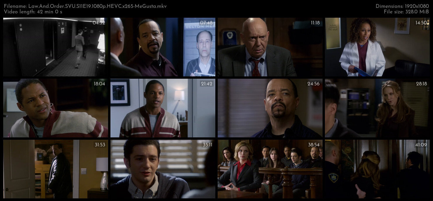 Law And Order SVU S11E19 1080p HEVC x265 MeGusta TGx