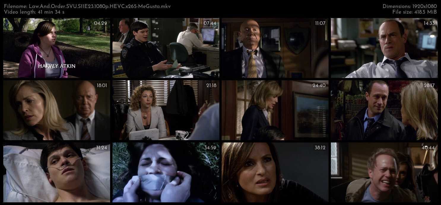 Law And Order SVU S11E23 1080p HEVC x265 MeGusta TGx