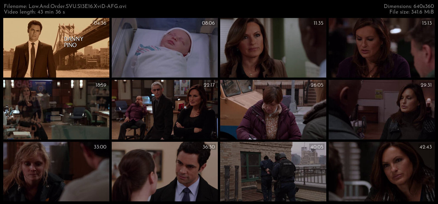 Law And Order SVU S13E16 XviD AFG TGx