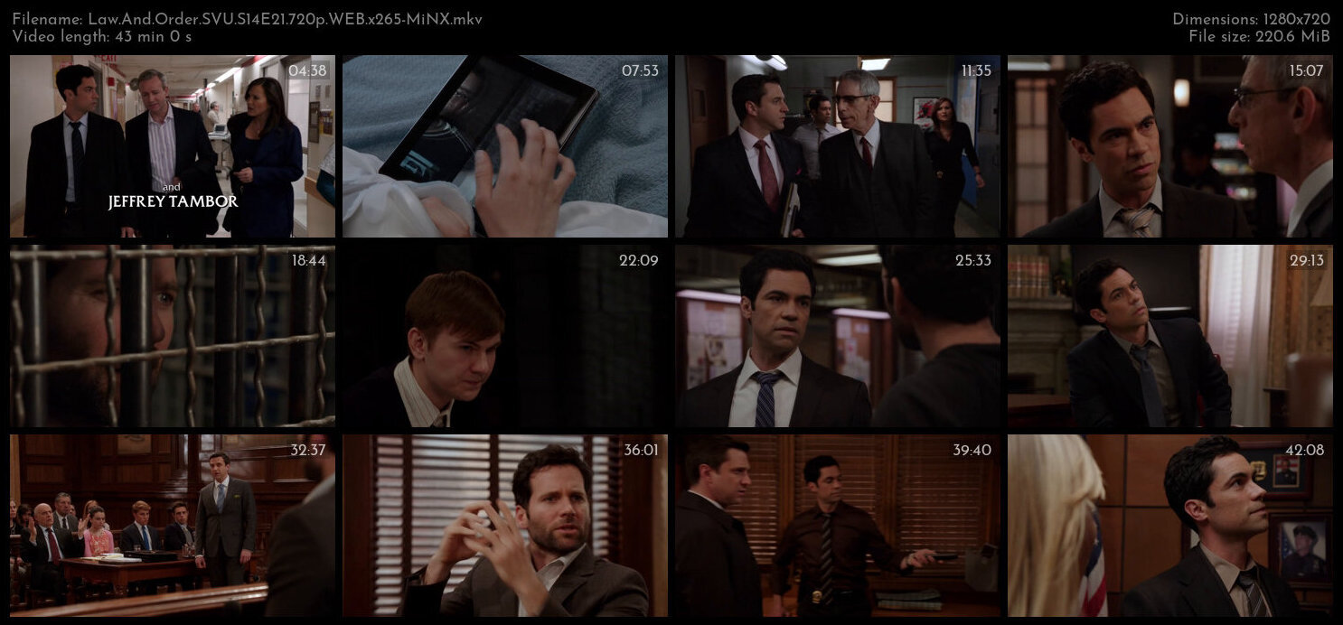 Law And Order SVU S14E21 720p WEB x265 MiNX TGx