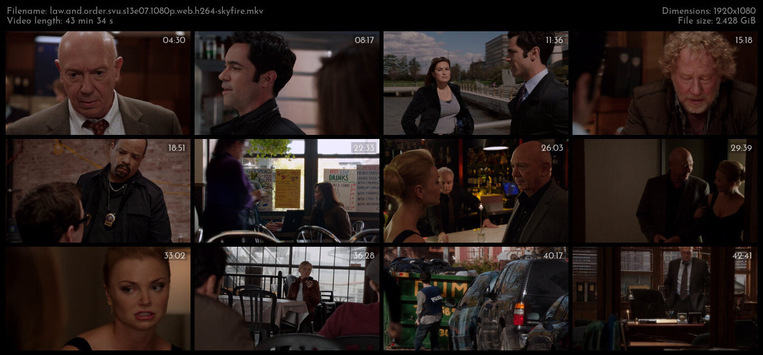 Law And Order SVU S13E07 1080p WEB H264 SKYFiRE TGx