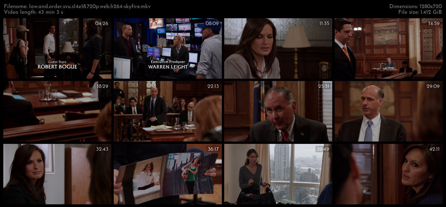 Law And Order SVU S14E18 720p WEB H264 SKYFiRE TGx