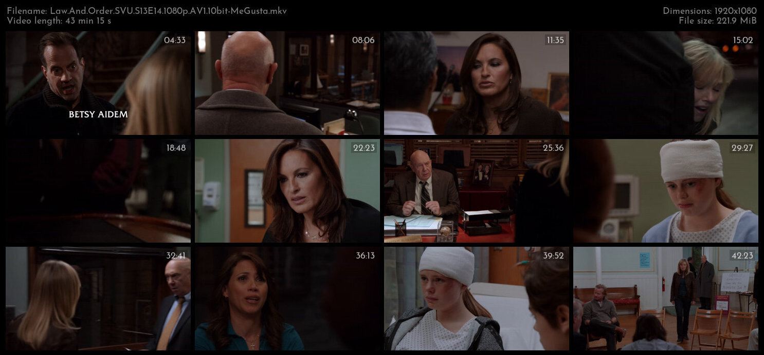 Law And Order SVU S13E14 1080p AV1 10bit MeGusta TGx