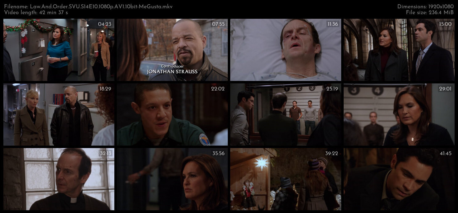 Law And Order SVU S14E10 1080p AV1 10bit MeGusta TGx