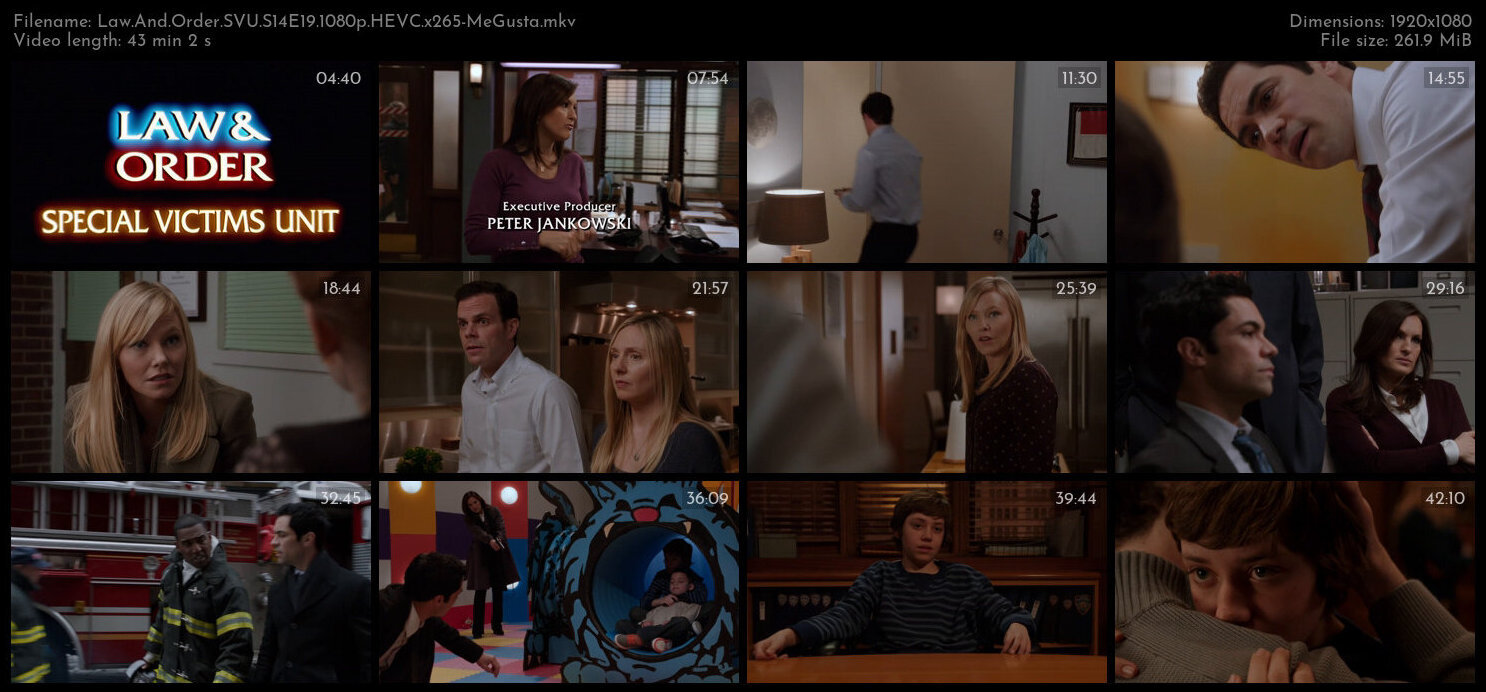 Law And Order SVU S14E19 1080p HEVC x265 MeGusta TGx