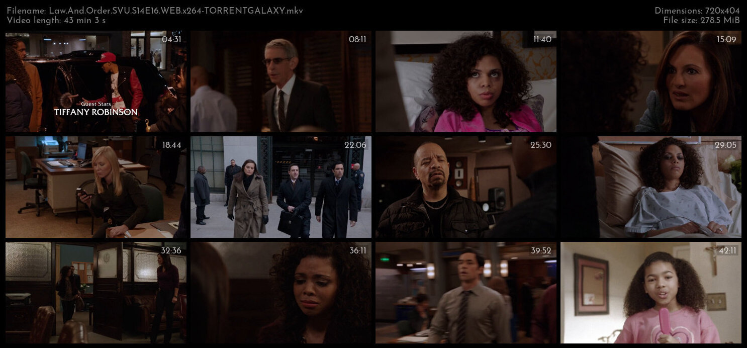 Law And Order SVU S14E16 WEB x264 TORRENTGALAXY