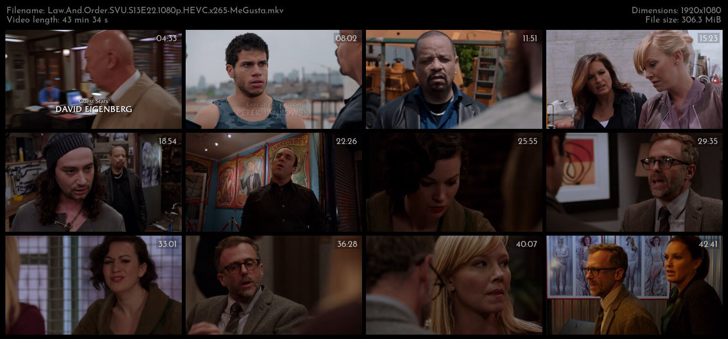 Law And Order SVU S13E22 1080p HEVC x265 MeGusta TGx