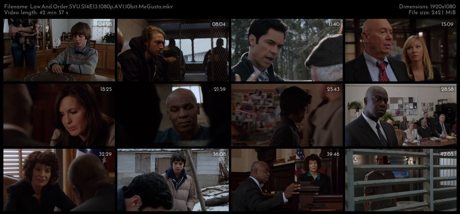 Law And Order SVU S14E13 1080p AV1 10bit MeGusta TGx