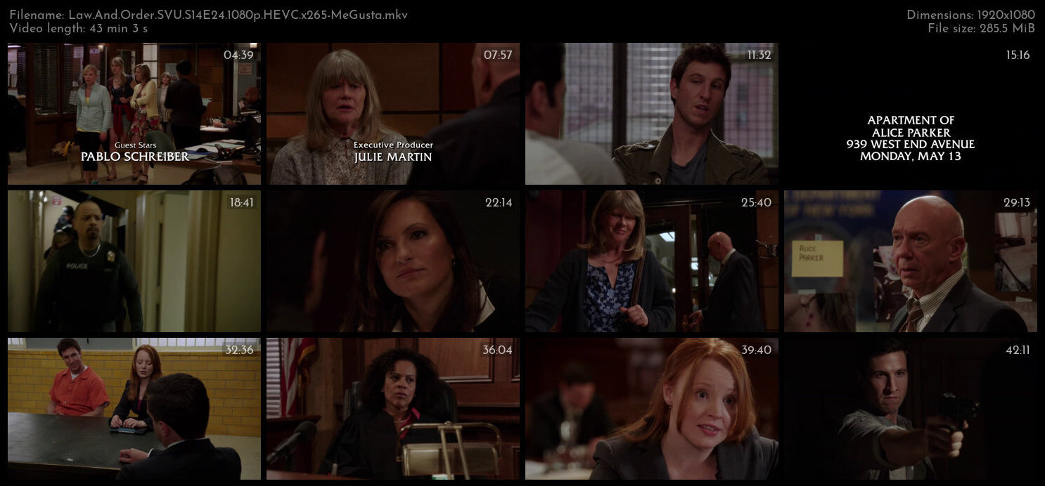 Law And Order SVU S14E24 1080p HEVC x265 MeGusta TGx