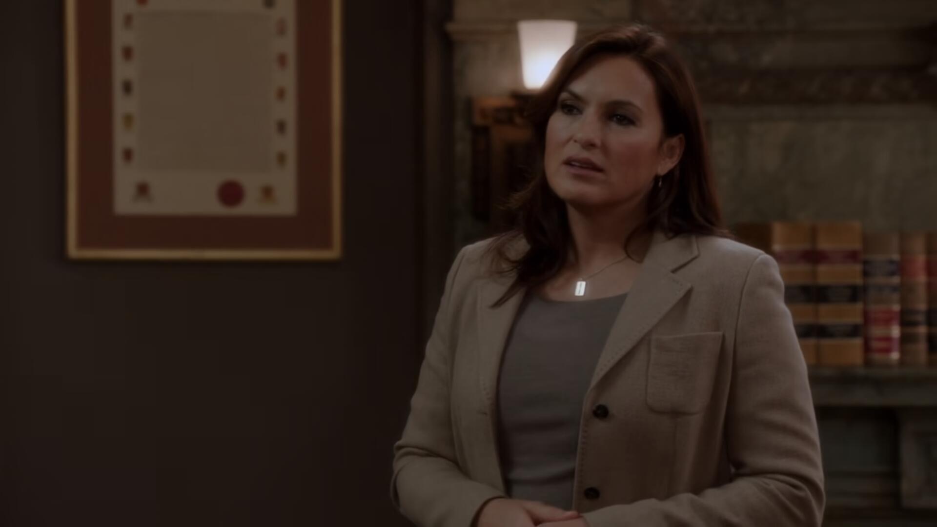 Law And Order SVU S14E12 1080p AV1 10bit MeGusta TGx