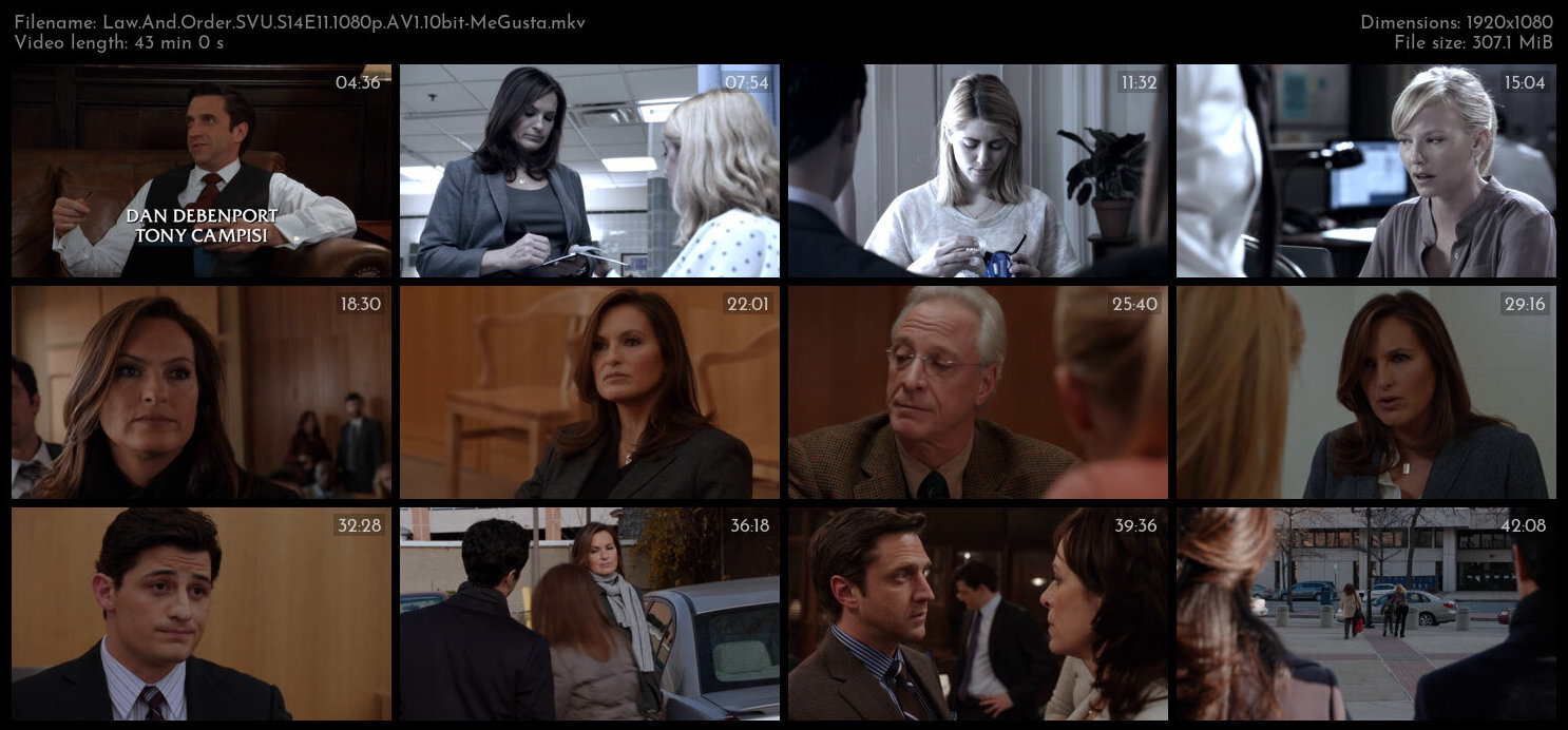 Law And Order SVU S14E11 1080p AV1 10bit MeGusta TGx