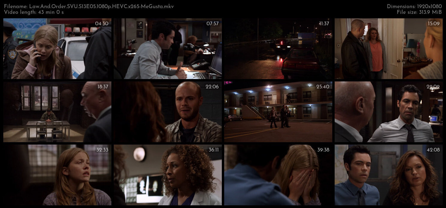 Law And Order SVU S13E05 1080p HEVC x265 MeGusta TGx