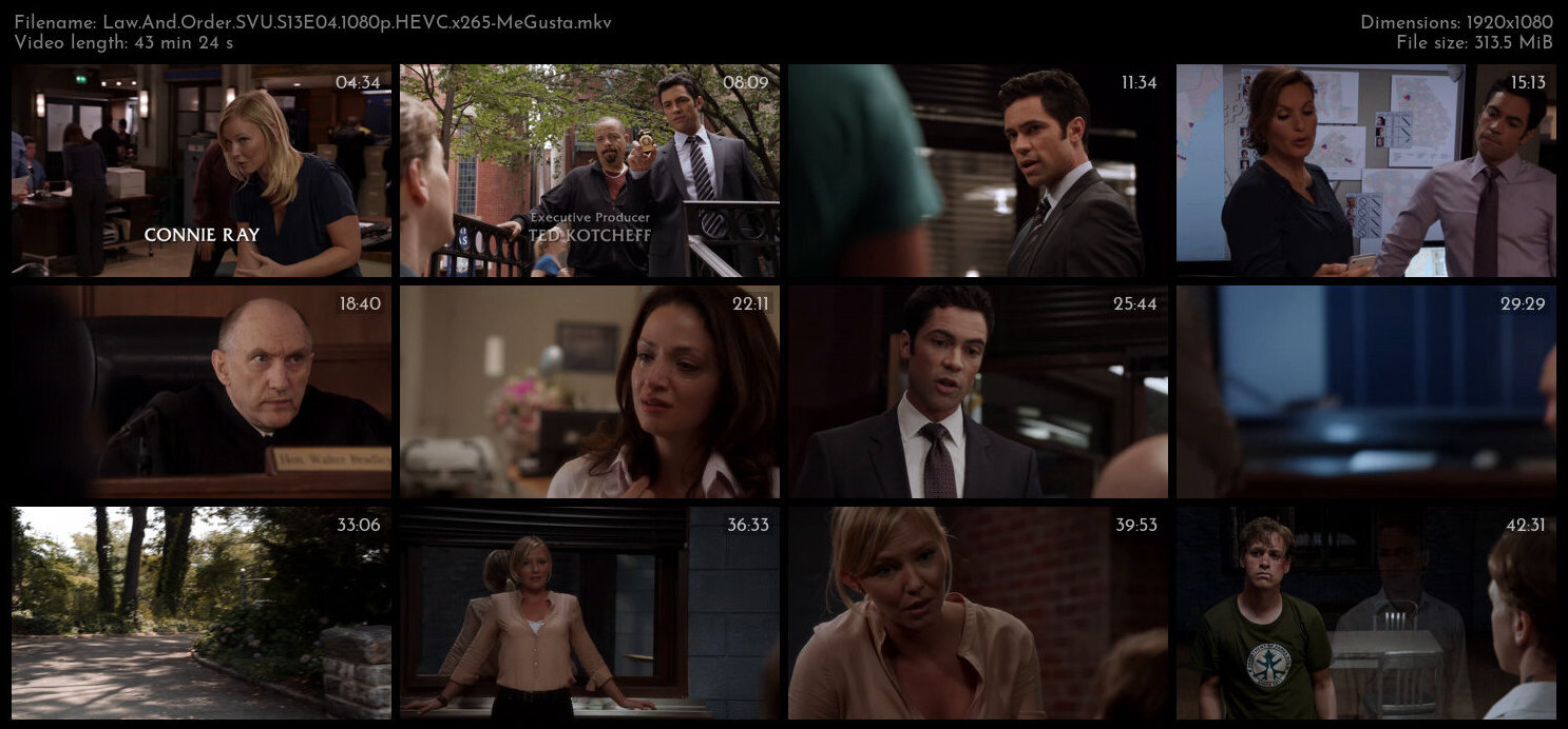 Law And Order SVU S13E04 1080p HEVC x265 MeGusta TGx