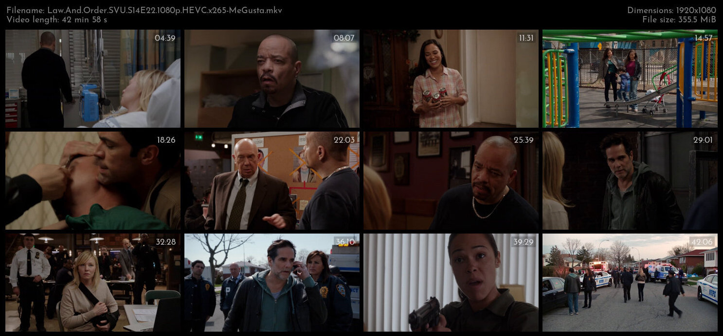 Law And Order SVU S14E22 1080p HEVC x265 MeGusta TGx