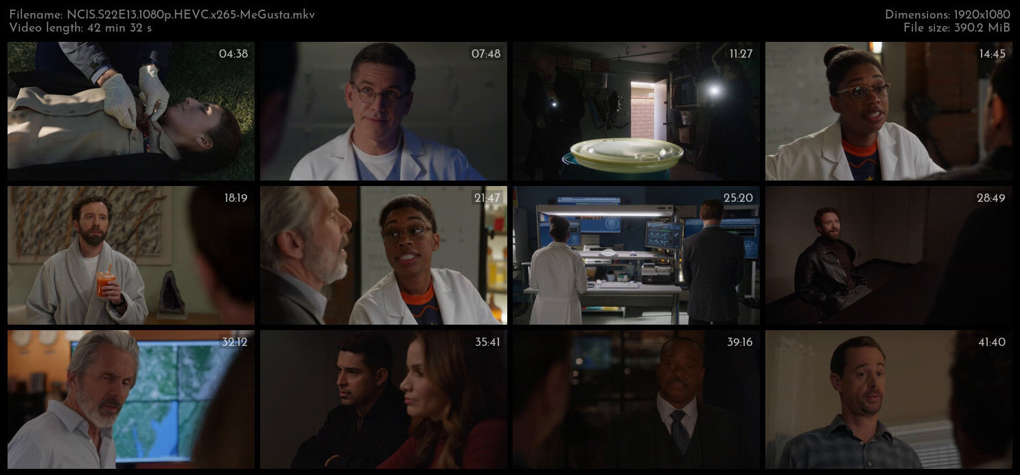 NCIS S22E13 1080p HEVC x265 MeGusta TGx