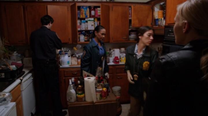 Law And Order SVU S14E05 WEB x264 TORRENTGALAXY