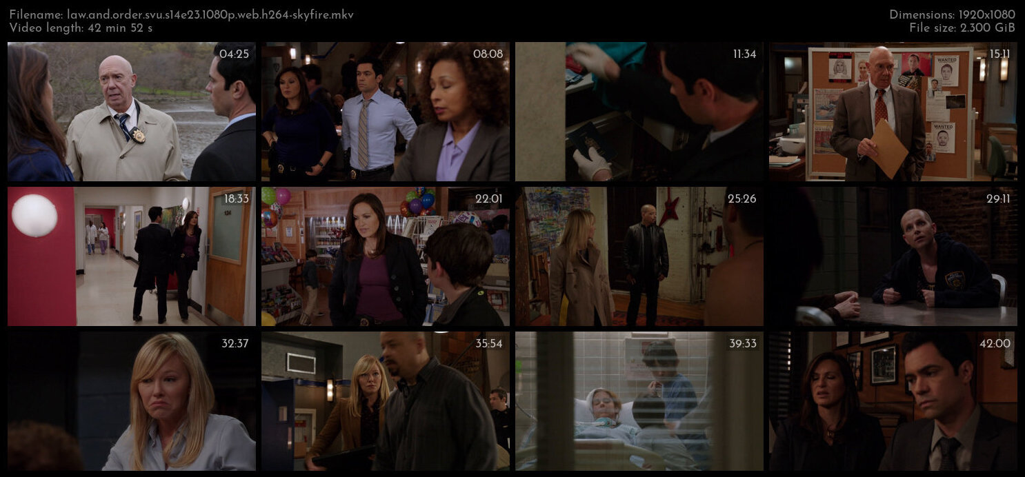 Law And Order SVU S14E23 1080p WEB H264 SKYFiRE TGx