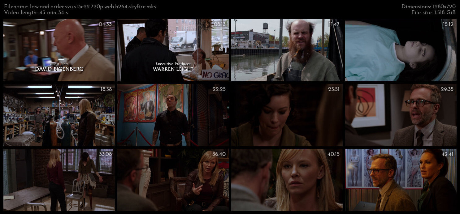 Law And Order SVU S13E22 720p WEB H264 SKYFiRE TGx