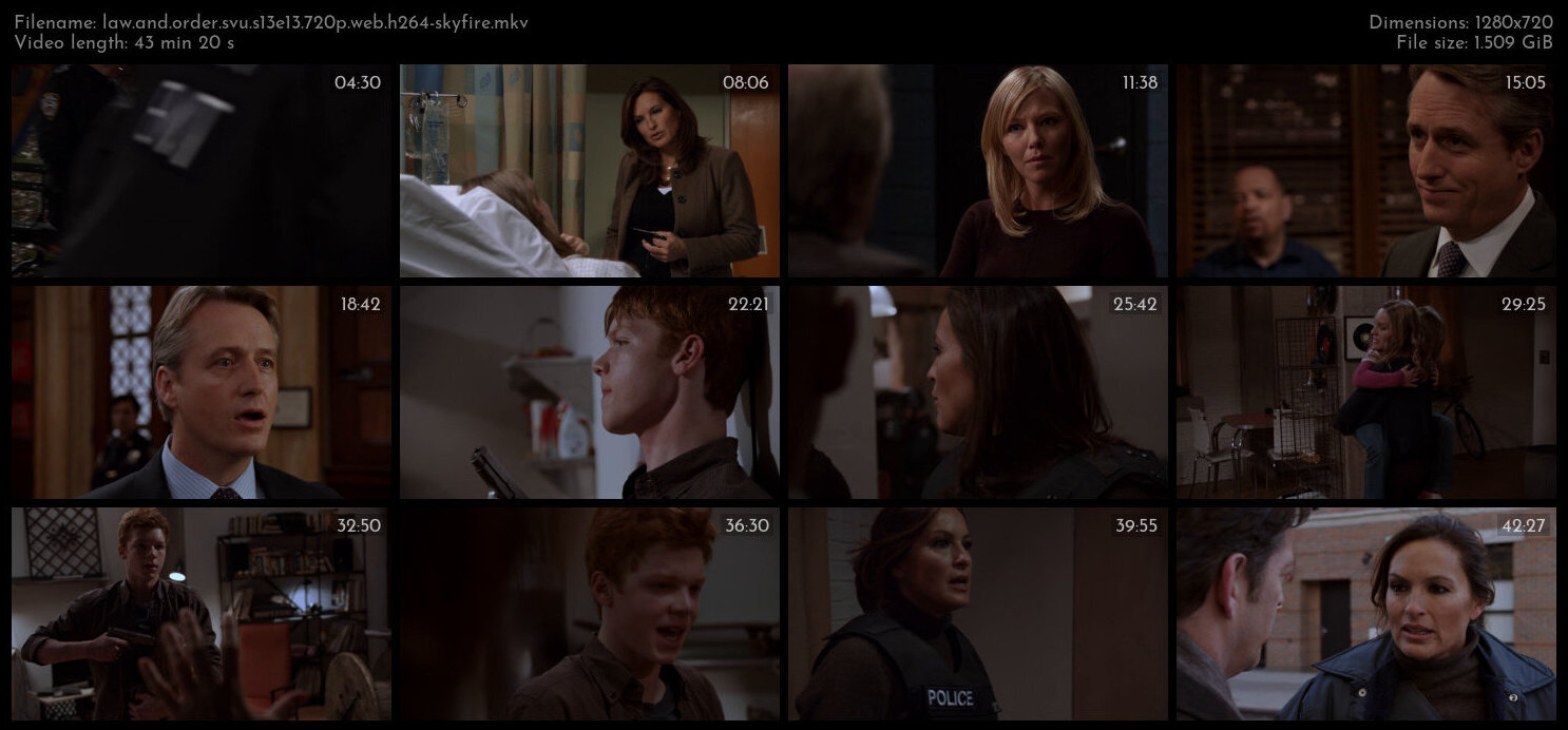 Law And Order SVU S13E13 720p WEB H264 SKYFiRE TGx