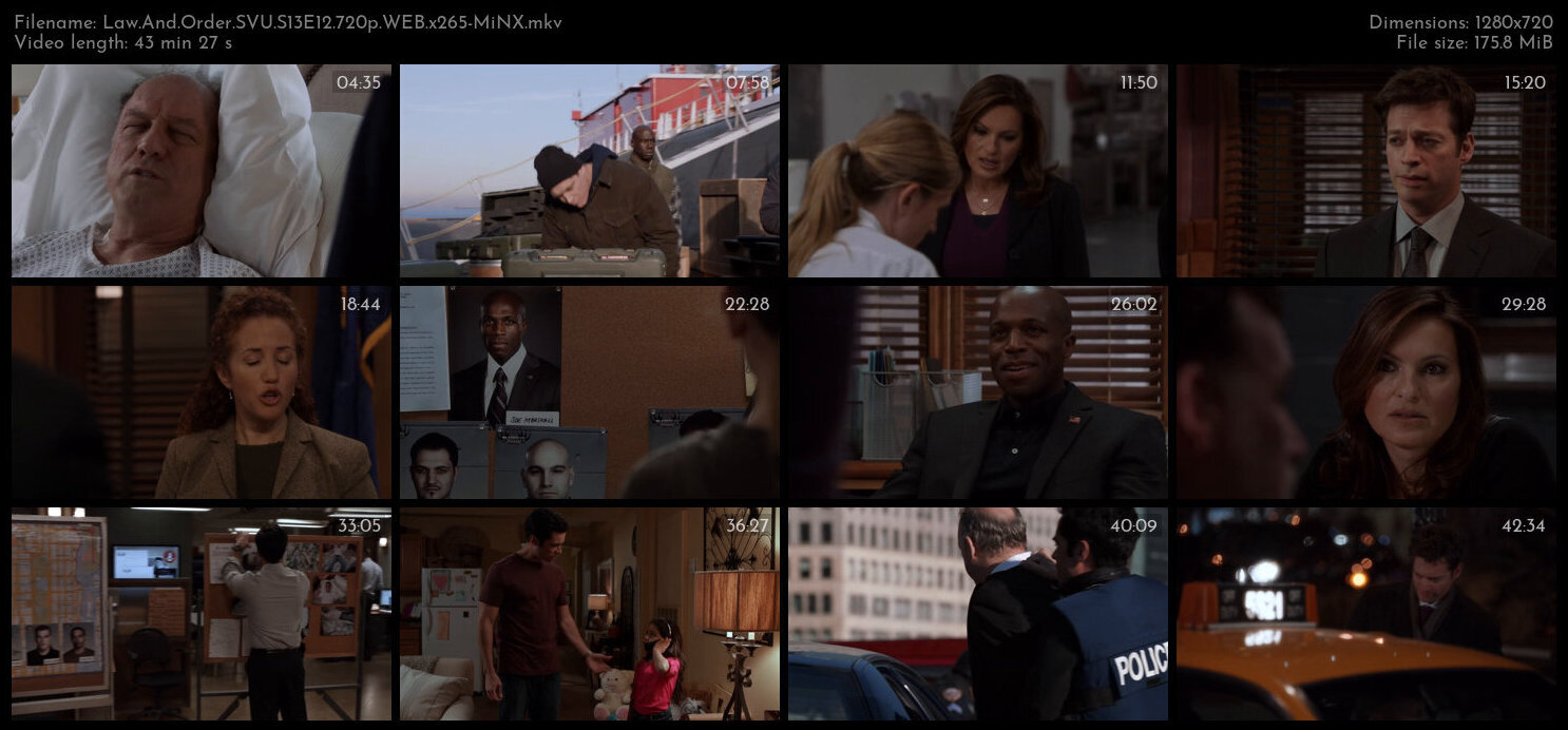 Law And Order SVU S13E12 720p WEB x265 MiNX TGx