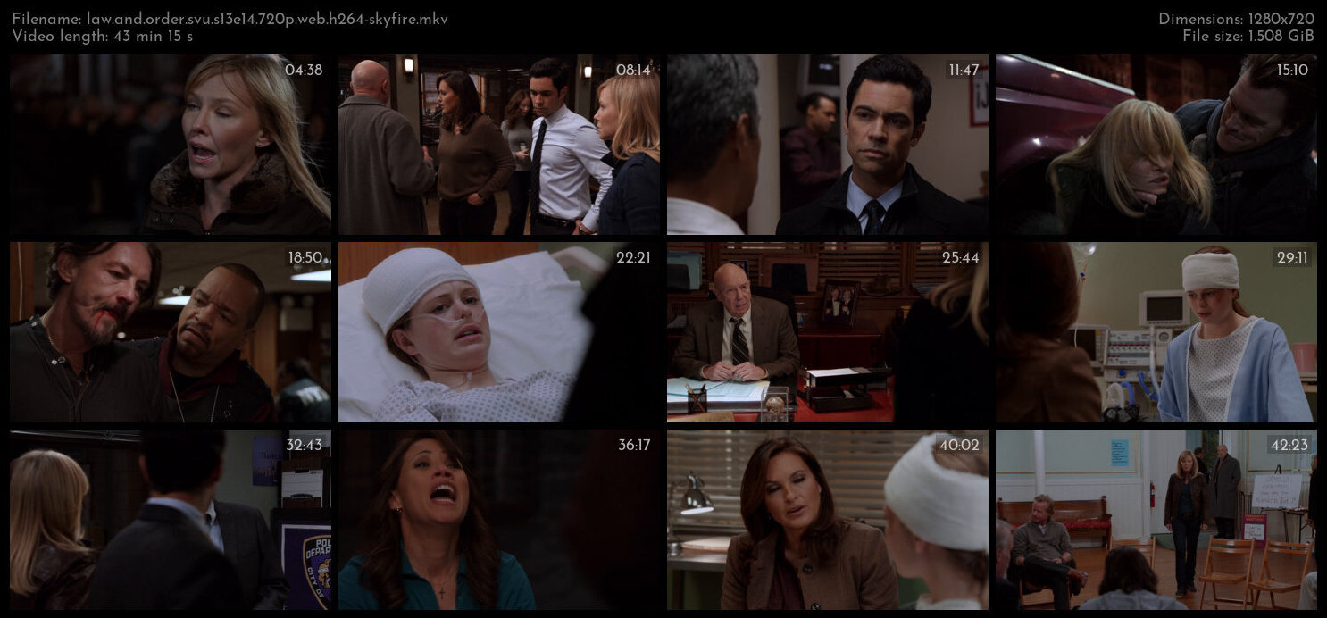 Law And Order SVU S13E14 720p WEB H264 SKYFiRE TGx