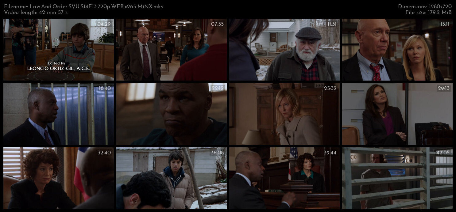 Law And Order SVU S14E13 720p WEB x265 MiNX TGx