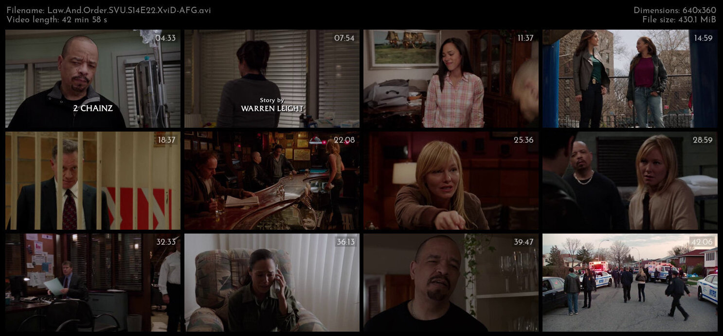 Law And Order SVU S14E22 XviD AFG TGx