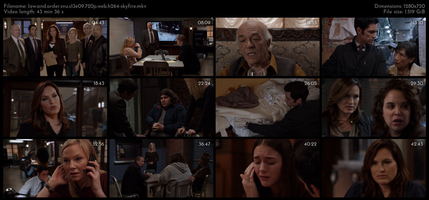 Law And Order SVU S13E09 720p WEB H264 SKYFiRE TGx