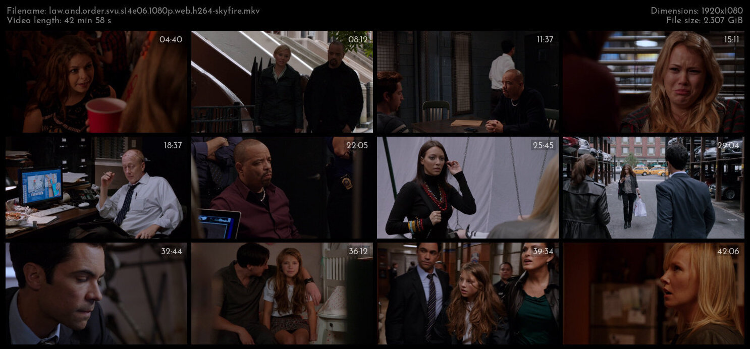 Law And Order SVU S14E06 1080p WEB H264 SKYFiRE TGx