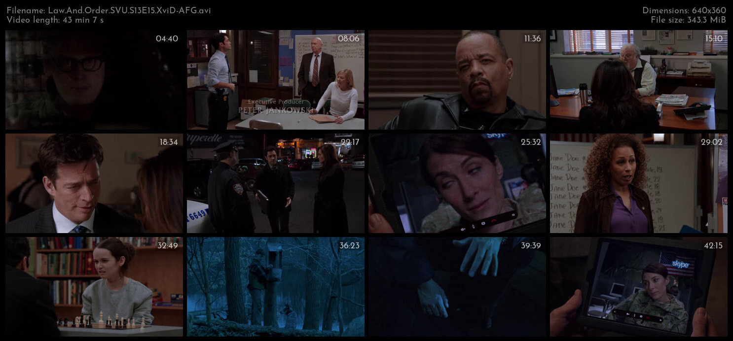 Law And Order SVU S13E15 XviD AFG TGx