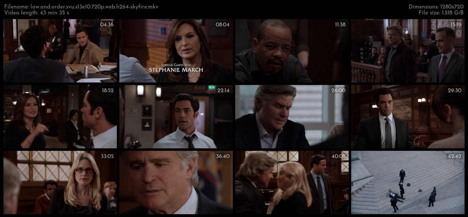 Law And Order SVU S13E10 720p WEB H264 SKYFiRE TGx