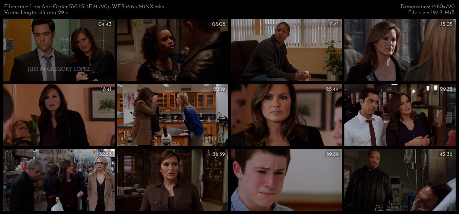 Law And Order SVU S13E21 720p WEB x265 MiNX TGx